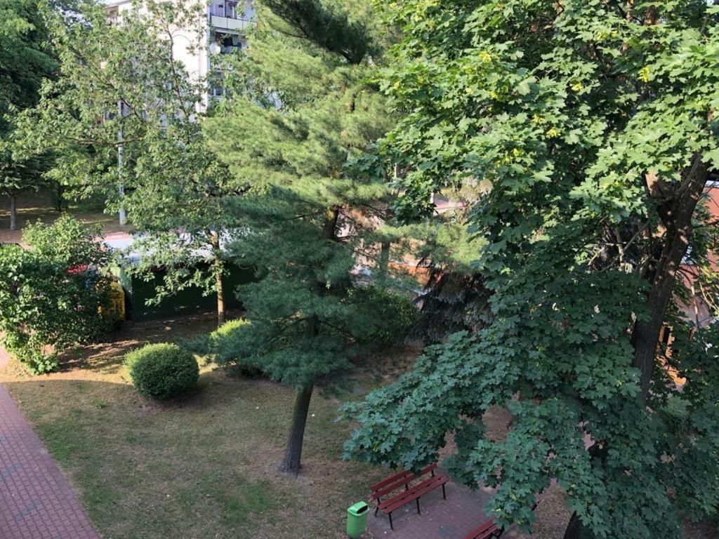 Chrobrego 269 Apartamento Biała Podlaska Exterior foto