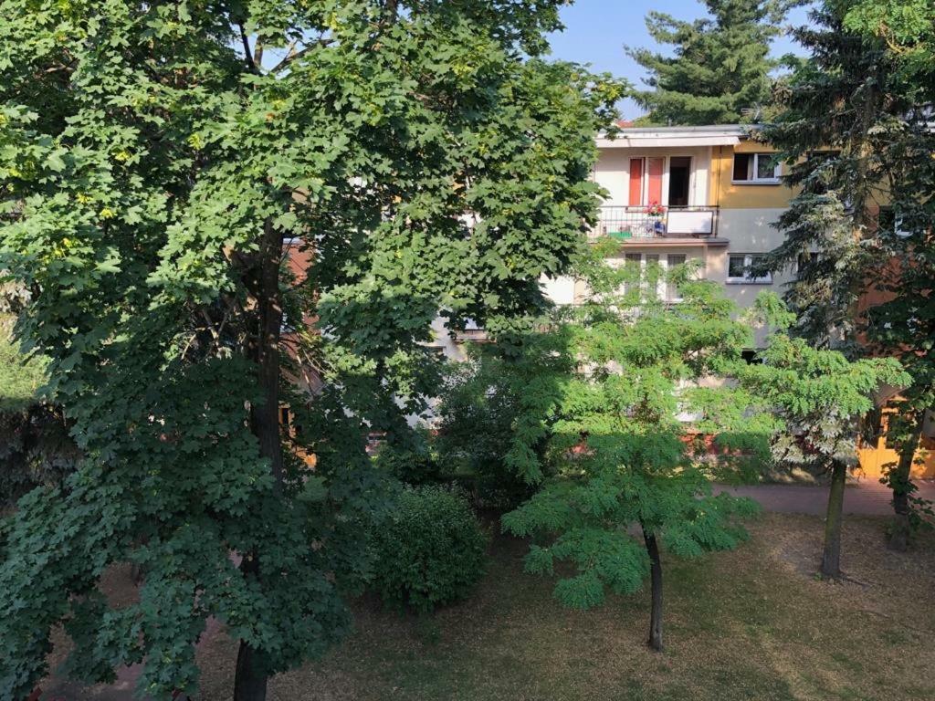 Chrobrego 269 Apartamento Biała Podlaska Exterior foto